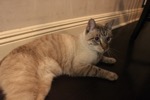 resIMG_20161111_200106_6537.JPG